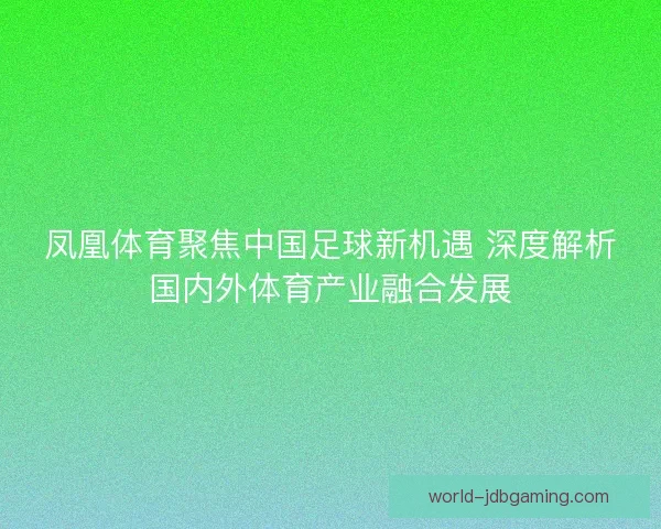凤凰体育聚焦中国足球新机遇 深度解析国内外体育产业融合发展